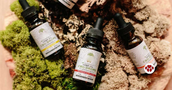 Curated visual reference: Canine Joint Pain Relief With Cbd Oil Reference: Beyond Anxiety Best Cbd Oil For Canine Joint Pain Relief