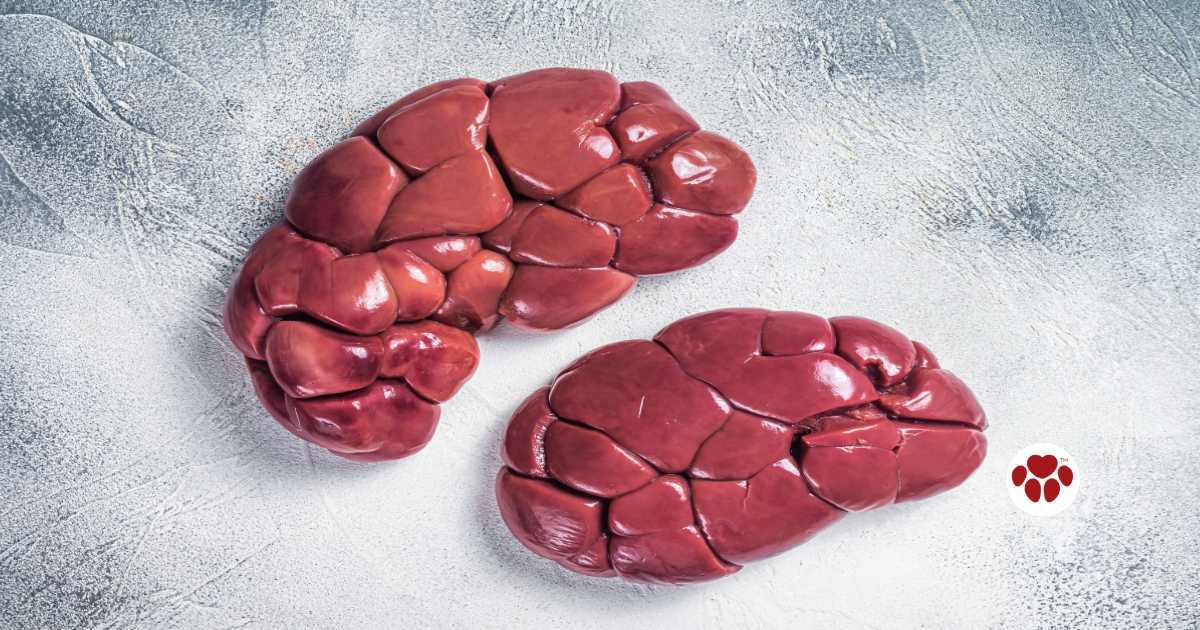 Grass-Fed Beef Kidney for Dogs – Paw Origins - Pet Kidney Stones And Grass Eating