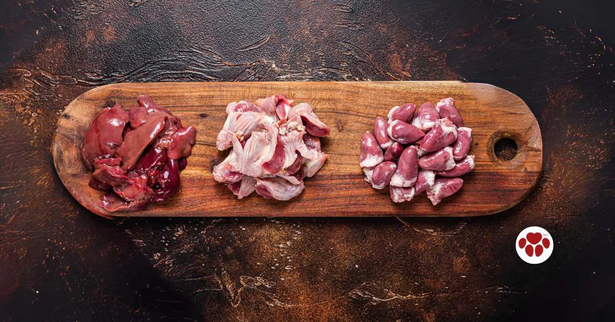 Dogs need organ meats