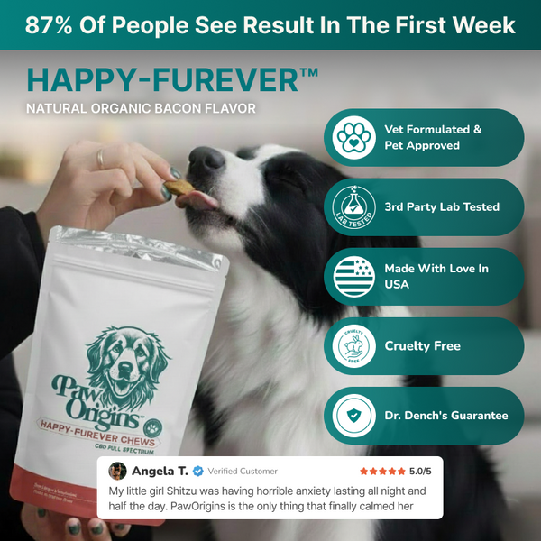 CBD Dog Chews | Happy-Furever | Paw Origins