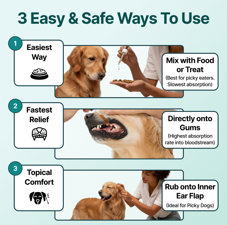 3 easy and safe ways to use