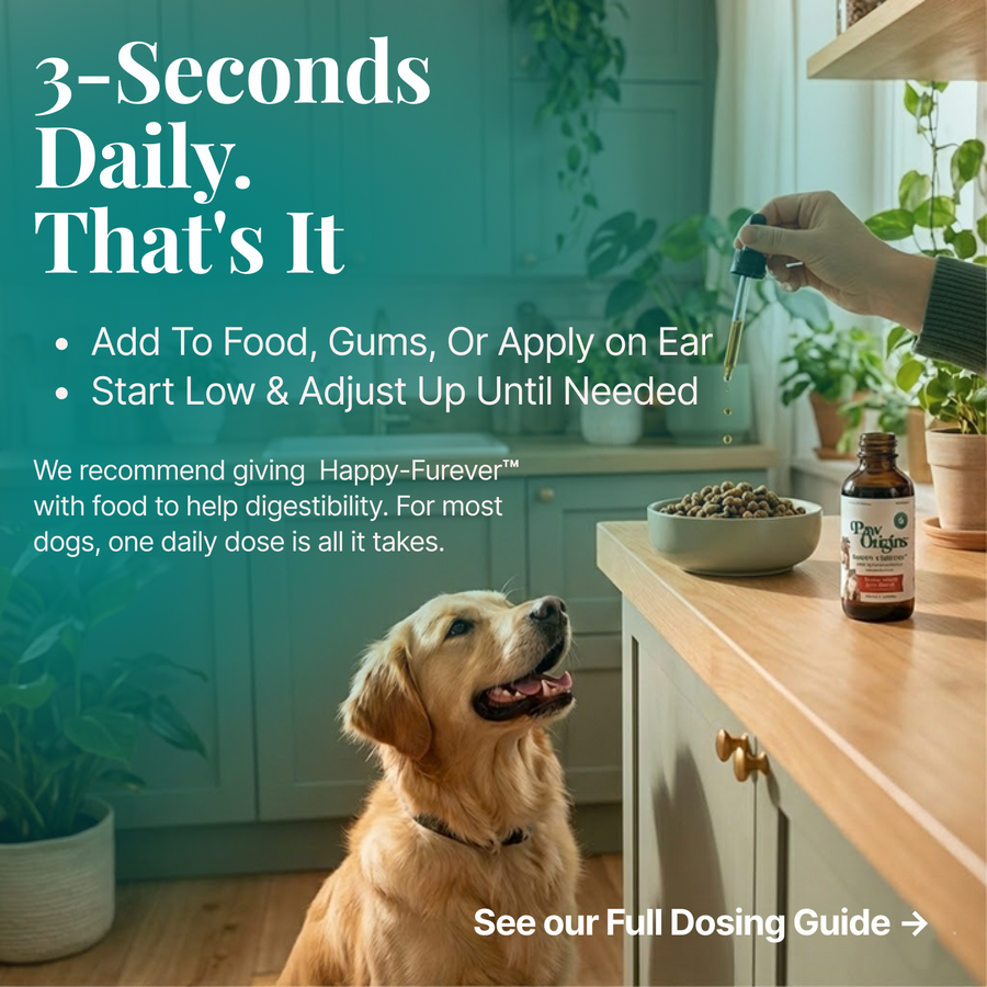 3 seconds daily: add to food, gums or ear