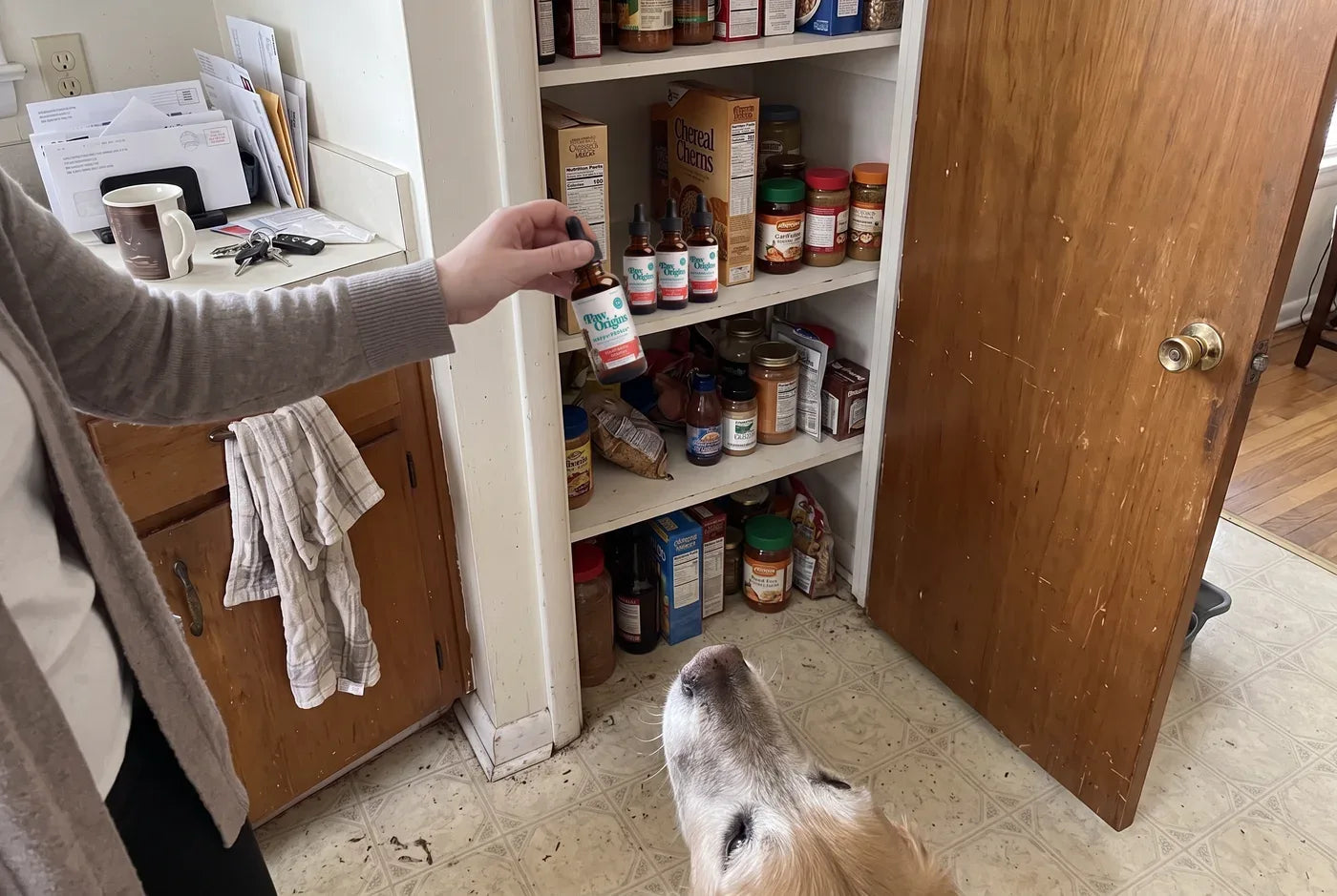Photographic: a hand placing an amber dropper bottle into a kitchen cupboard next to several identical bottles, a dog's