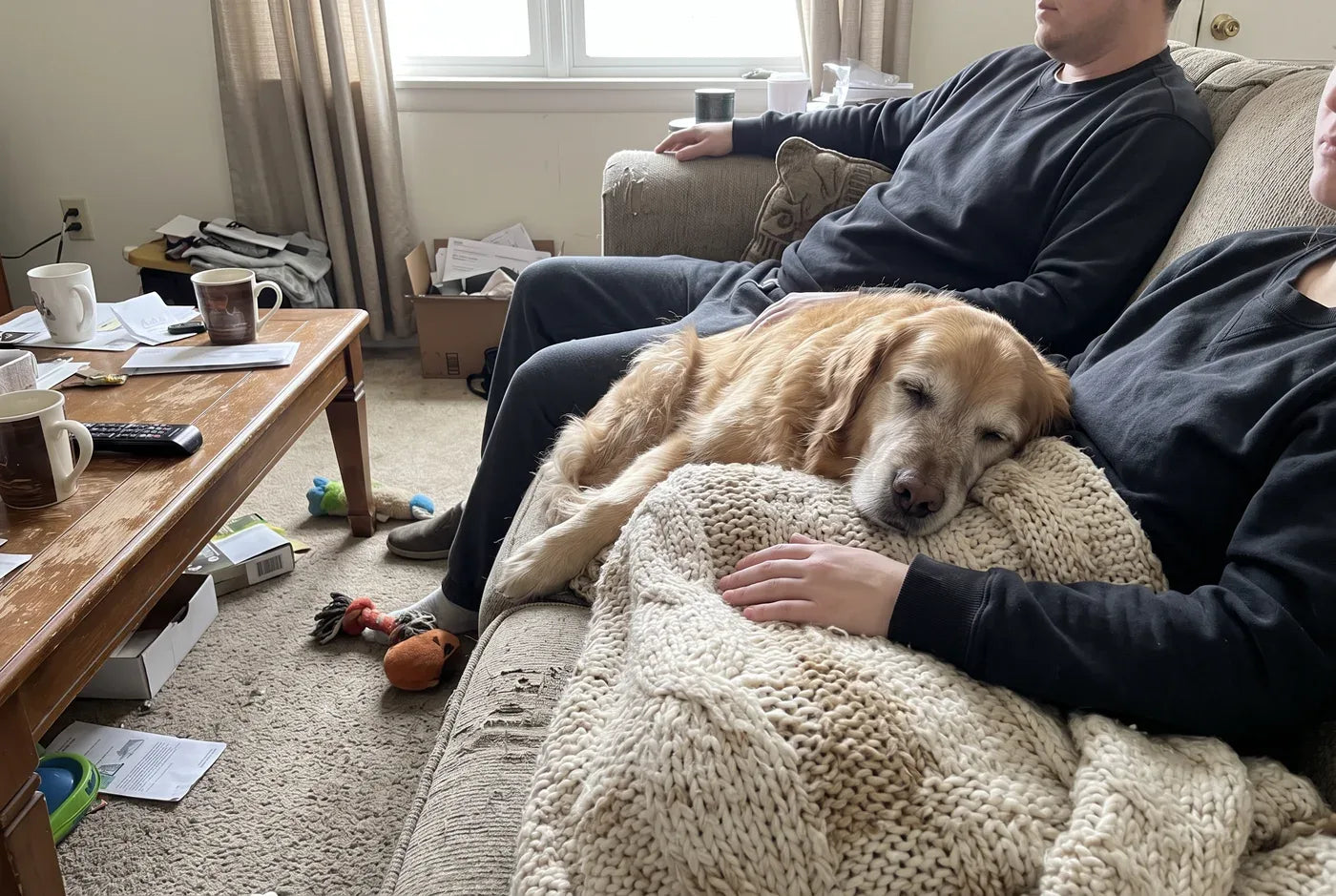 Photographic: a dog curled up asleep against its owner on a couch under a blanket, afternoon light, cozy