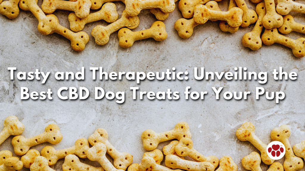 Tasty and Therapeutic: Unveiling the Best CBD Dog Treats for Your Pup