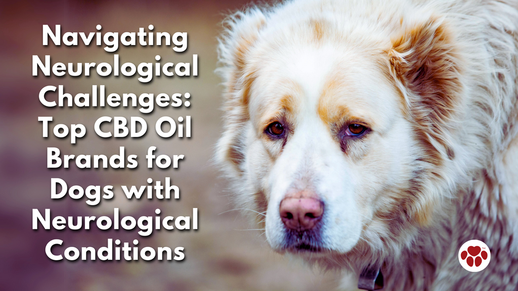 Navigating Neurological Challenges: Top CBD Oil Brands for Dogs with Neurological Conditions