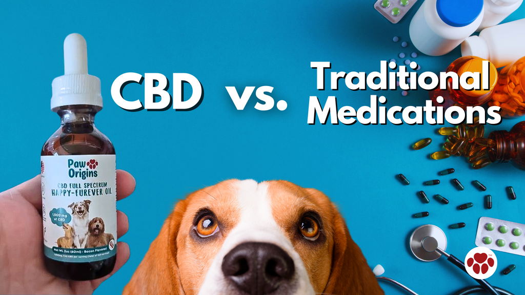CBD vs. Traditional Medications