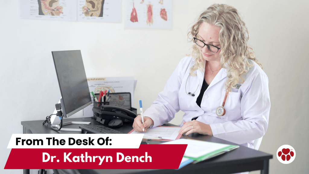 About Dr. Kathryn Dench, MA VetMB