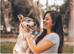 How CBD Oil Helps Manage Dog Seizures?