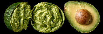 Can Dog Eat Avocado?