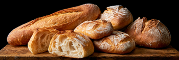 Can Dog Eat Bread