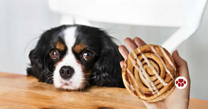 Can dogs eat cinnamon?