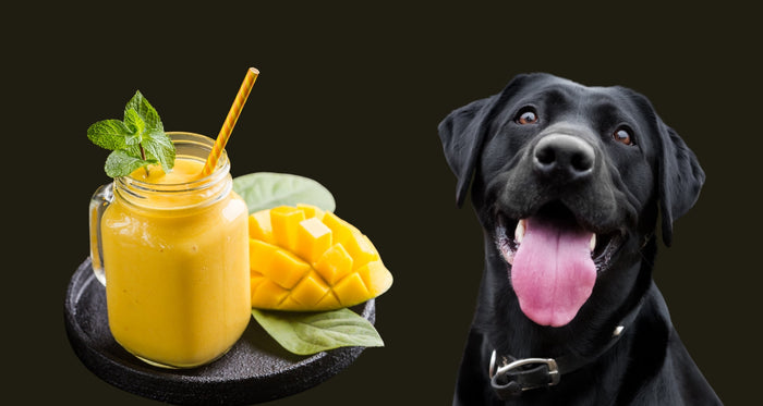 Can dogs eat mango?