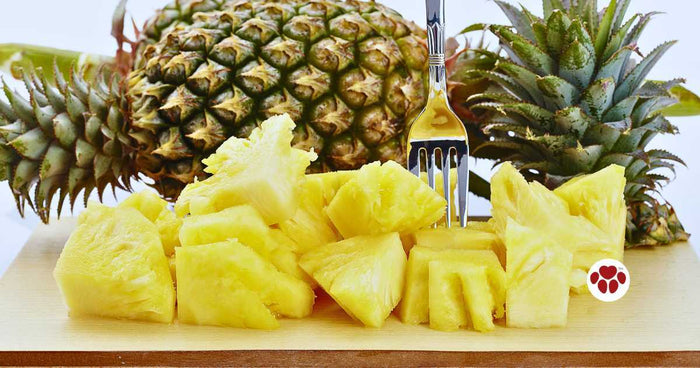 Can dogs eat pineapple?