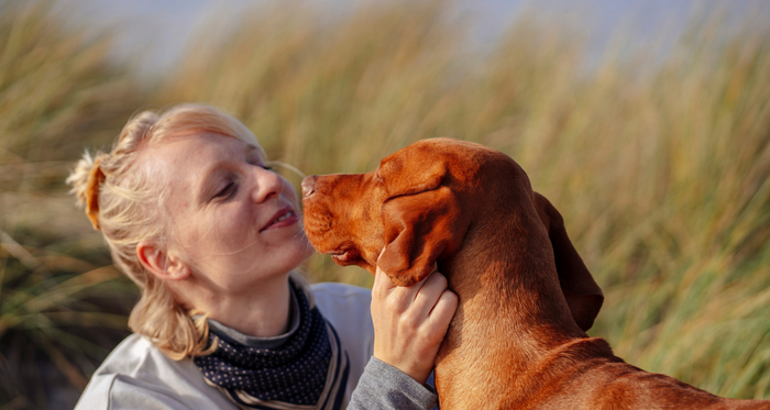 CBD oil for dogs with seizures