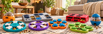Do Puzzle Toys Reduce Stress in Dogs?