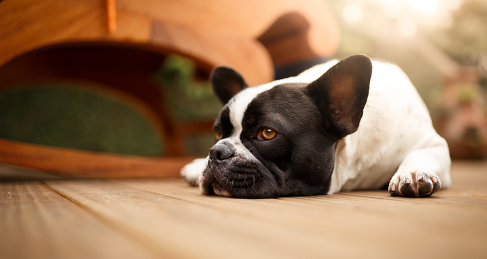 How to treat dry skin 