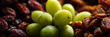Can Dogs Eat Grapes