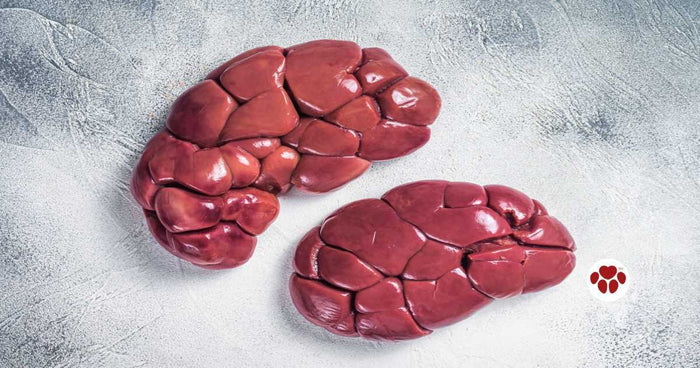 Grass-fed beef kidney for dogs to eat