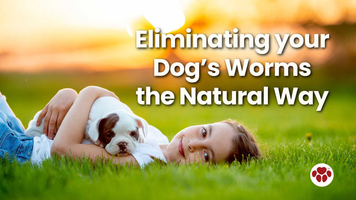 Natural way to eliminate dog's worms