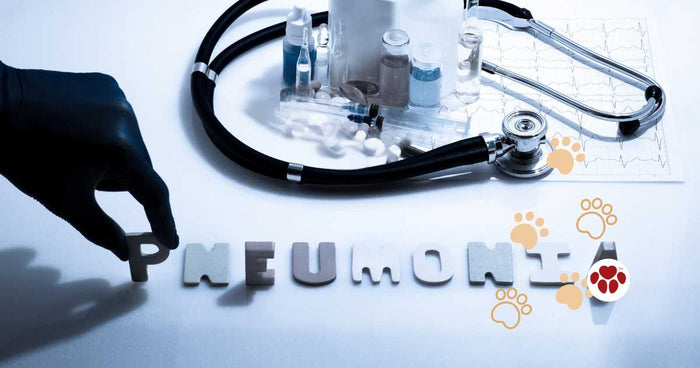 Natural remedies for canine pneumonia