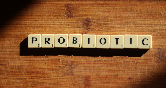 Probiotics chews for dogs