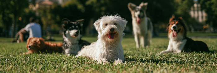 Can Poor Socialization Cause Anxiety?