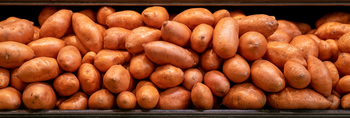 Can Dogs Eat Sweet Potato?