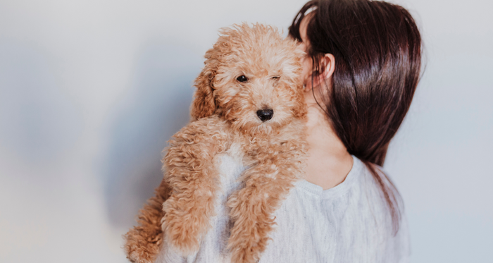 Symptoms of ear mites