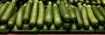 Can Dogs Eat Zucchini?