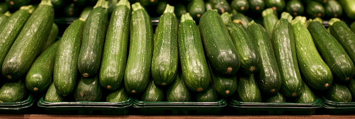 Can Dogs Eat Zucchini?