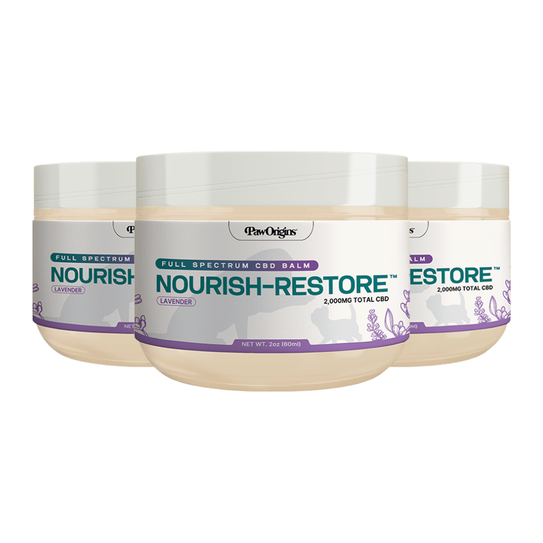 Nourish-Restore™ Full-Spectrum CBD Balm (2,000mg)