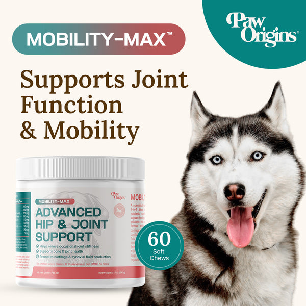 Mobility-Max™ Advanced Hip & Joint Support Chews