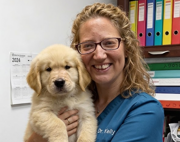 Dr. Kelly Hoods