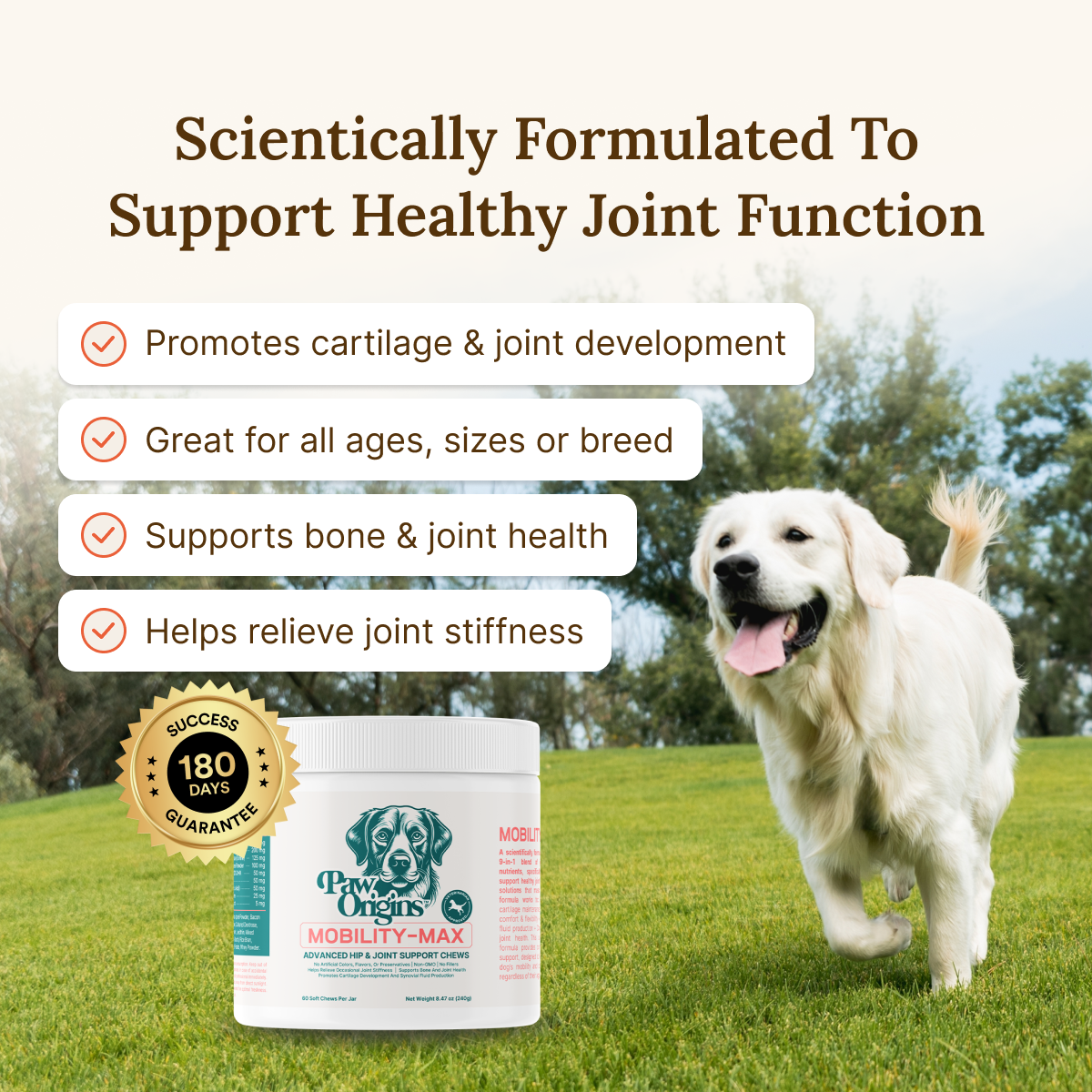 Mobility-Max™ Advanced Hip & Joint Support Chews