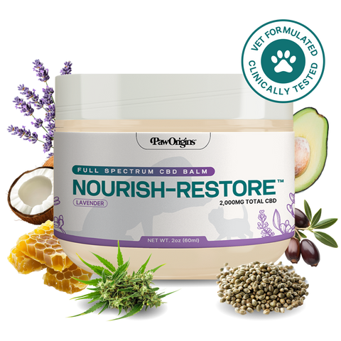 Nourish-Restore™ Full-Spectrum CBD Balm (2,000mg)