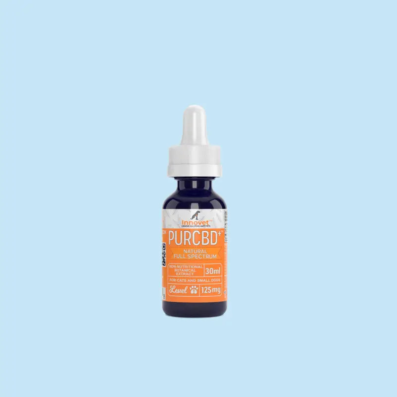 4. Innovet CBD Oil for Dogs (1,500mg)
