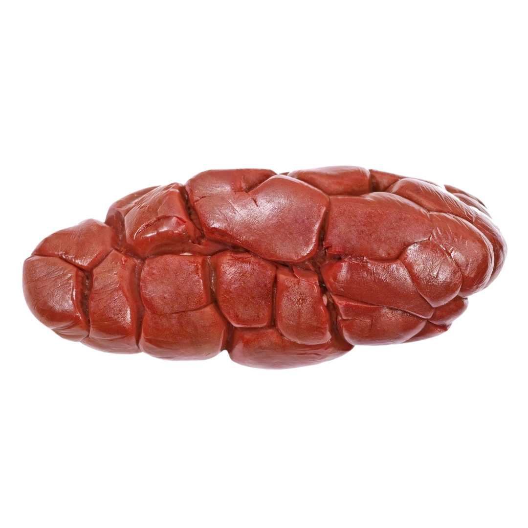 Beef Kidney