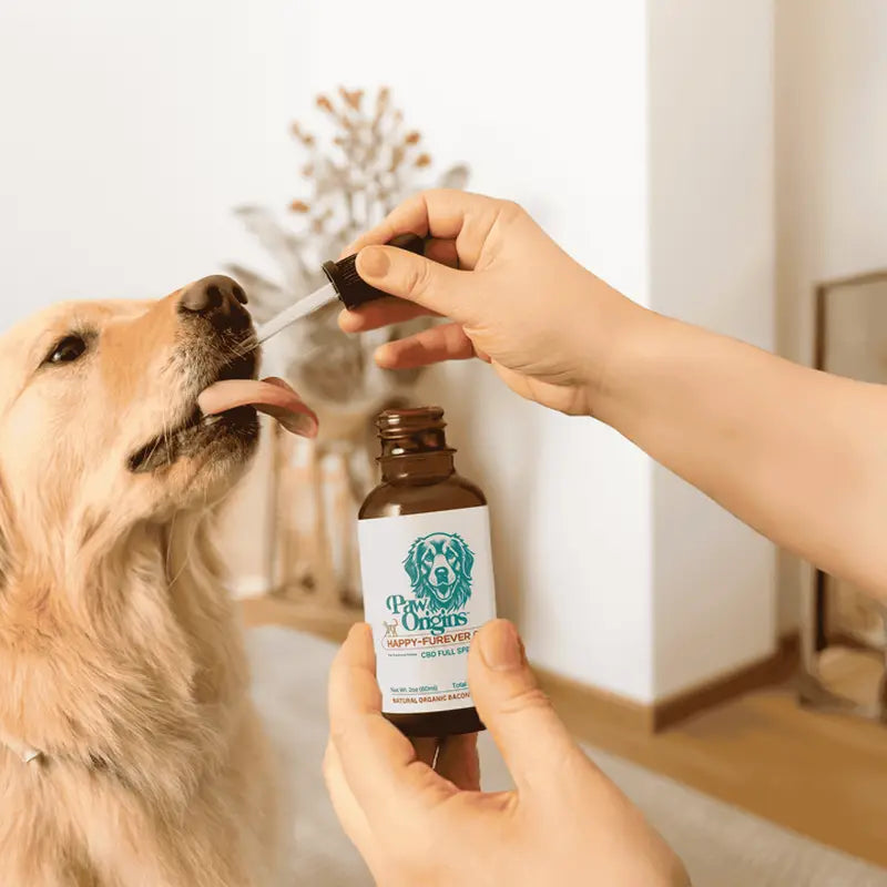 Best CBD Oil for Dogs Overall: Paw Origins Happy Furever™ CBD Oil