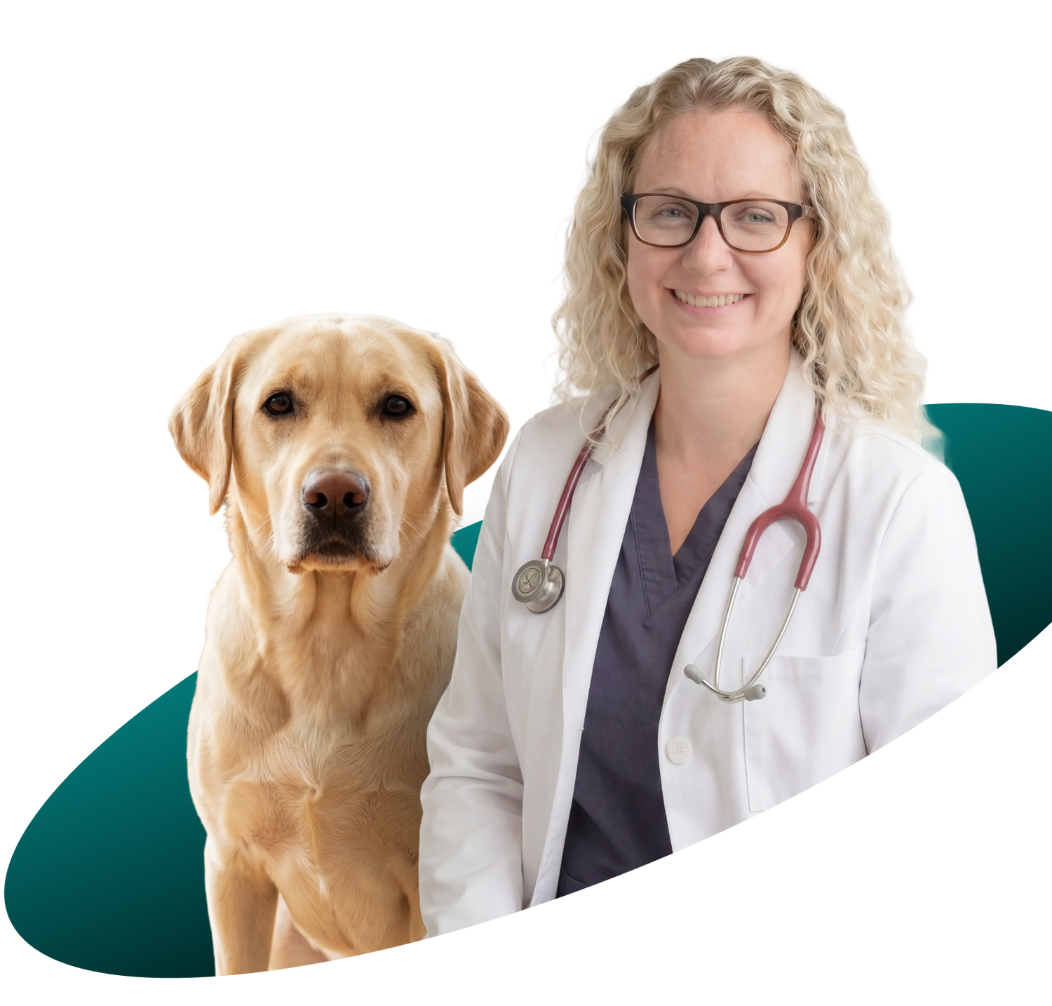 A smiling female veterinarian with curly blonde hair and glasses, wearing a white coat and stethoscope, sits next to a golden Labrador Retriever against a white and teal background.