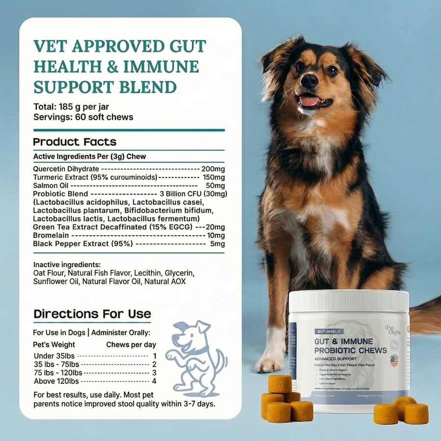 A happy dog stands next to a container of Gut-Shield - Advanced Gut Health & Immune Support Probiotic Chews, a natural dog supplement with bacon-flavored soft chews. The label, supplement facts, and weight-based feeding instructions are shown.