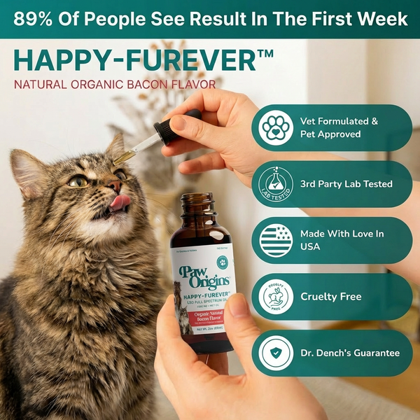 Full-Spectrum (1,000mg) Happy-Furever™ CBD Oil - For Cats