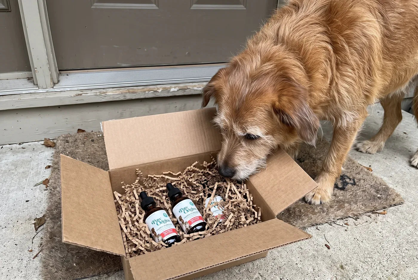 A stack of Happy-Furever® bottles in an open shipping box on a doormat, a calm dog sniffing the box; bright, cheerful, p