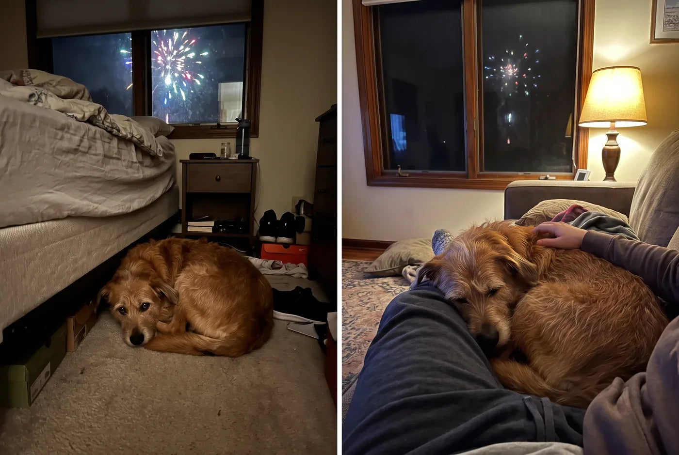 A split scene at night: on one side a dog trembling under a bed during a fireworks flash, on the other the same dog asle