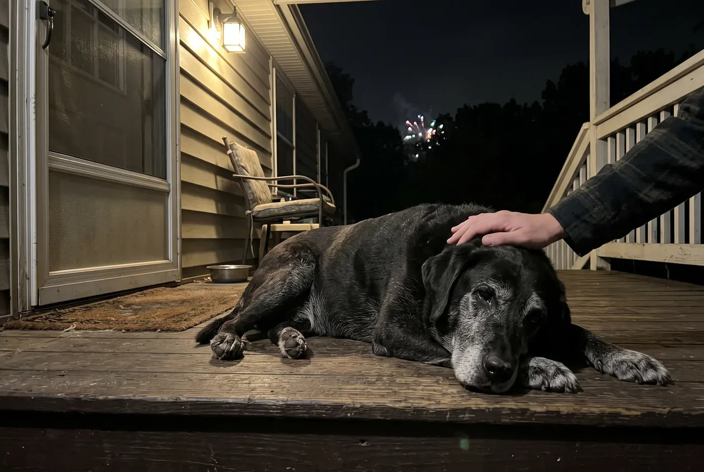 Photographic: a gray-muzzled older dog lying relaxed on a porch at night, faint fireworks blurred in the dark sky far be