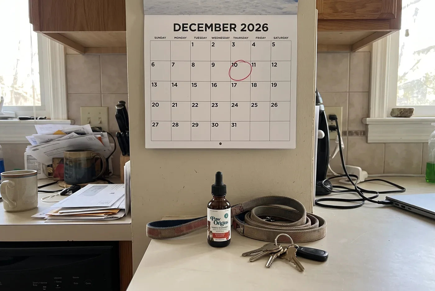 Photographic: a wall calendar page for December 2026 with the 11th circled in red, pinned above a kitchen counter where 