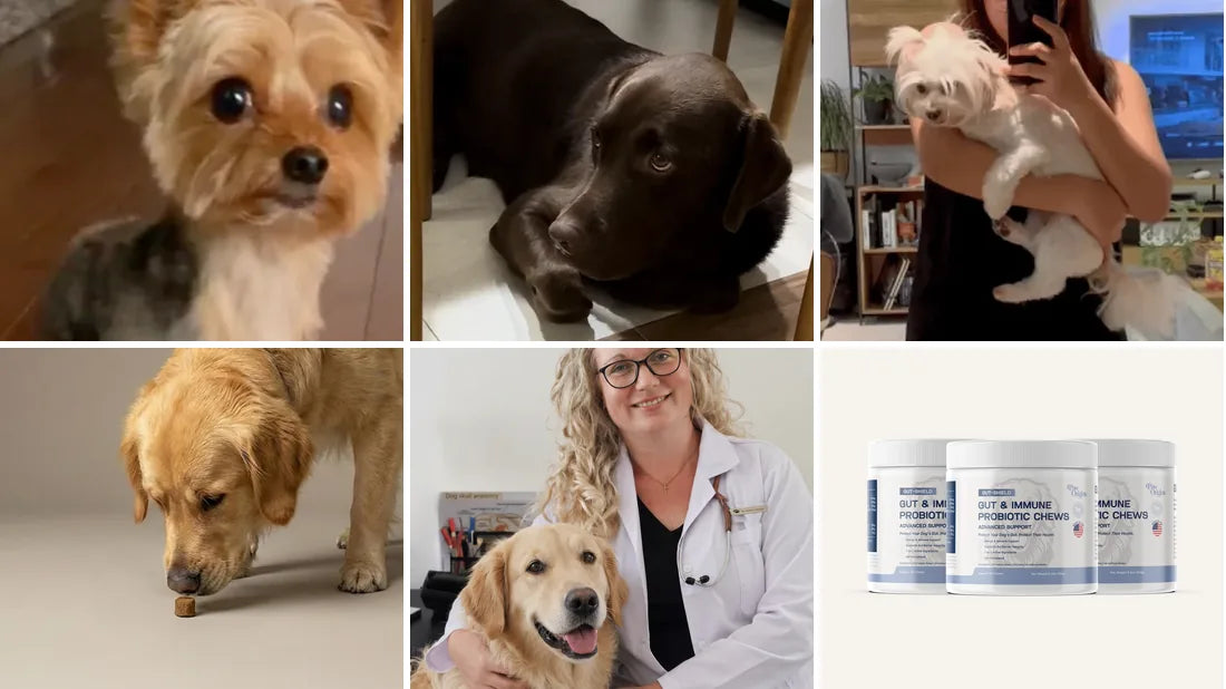 Gut-Shield customers' dogs and Dr. Dench
