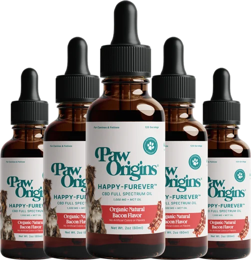 5 bottle pack