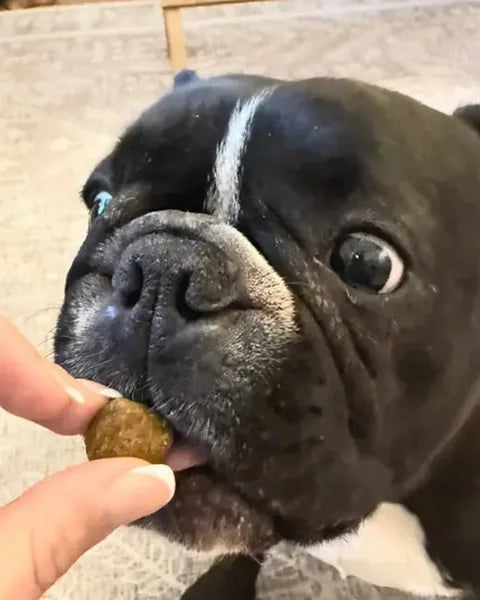 Vinnie