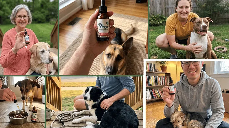 Real PawOrigins customers and their dogs